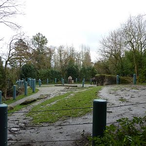 1.5 Acre Elephant Exhibit