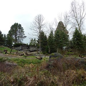 Grizzly Bear Exhibit