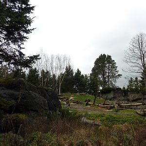 Grizzly Bear Exhibit