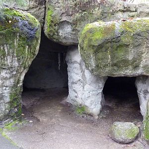 Grizzly Bear Exhibit - Viewing Cave