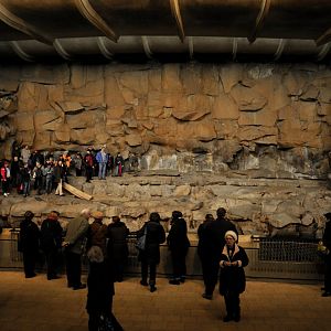 Visitors in the Alfred-Brehm-House at Berlin Tierpark
