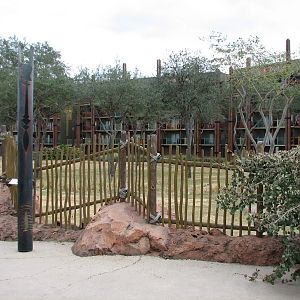 Arusha Savanna - Viewing Area