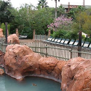 Uzima Savanna - Greater Flamingo Viewing Area