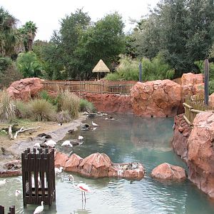 Uzima Savanna - Greater Flamingo Area