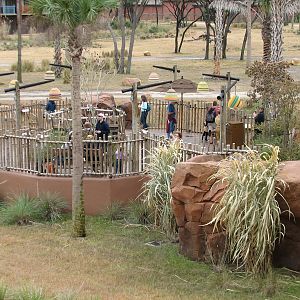 Sunset Savanna Overlook