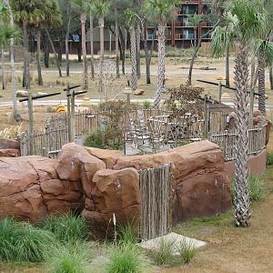 Sunset Savanna Overlook