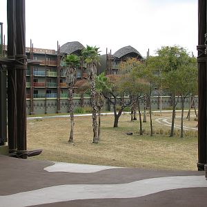 Sunset Savanna - View from Kidani Village Hallway