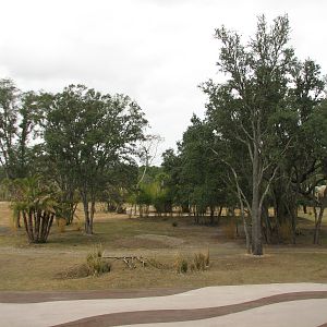 Pembe Savanna - View from Kidani Village Hallway