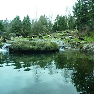 Grizzly Bear Exhibit