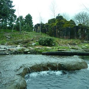 River Otter/ Rocky Mountain Goat/Arctic Fox Exhibit