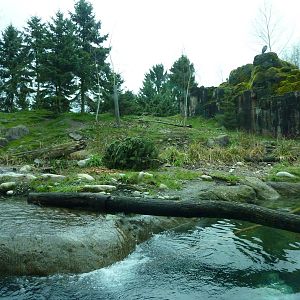 River Otter/ Rocky Mountain Goat/Arctic Fox Exhibit