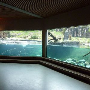 River Otter/ Rocky Mountain Goat/Arctic Fox Exhibit