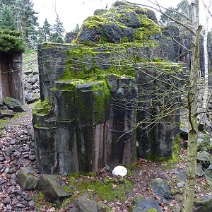 Rocky Mountain Goat/Arctic Fox Exhibit