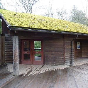 Walk-Through Bald Eagle Aviary