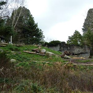 Grizzly Bear Exhibit