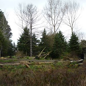 Grizzly Bear Exhibit