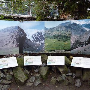 Snow Leopard Exhibit - Signage