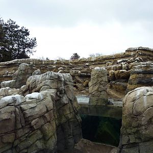Humboldt Penguin Exhibit