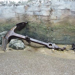 Humboldt Penguin Exhibit - Anchor