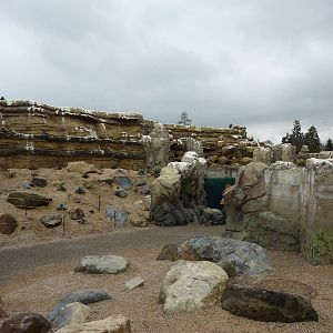Humboldt Penguin Exhibit