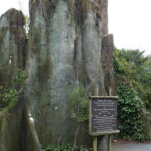 Jaguar Cove - Entrance