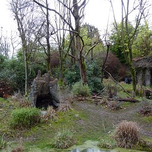Red-Flanked Duiker Exhibit