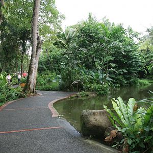 Gibbon and howler islands