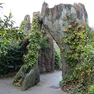 Jaguar Cove - Entrance