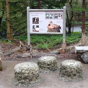 Flamingo Exhibit - Signage + Replica Nests