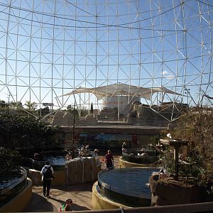 Wetlands aviary inside view
