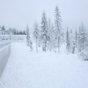 Polar bear enclosure