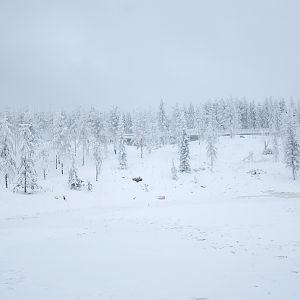 Polar bear enclosure