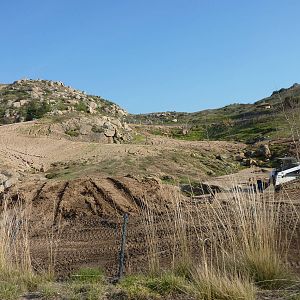 1/31/10 - JiA - Somalian Wild Ass and Barbary Sheep Exhibit