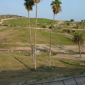 1/31/10 - South Africa