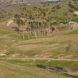 1/31/10 - South Africa