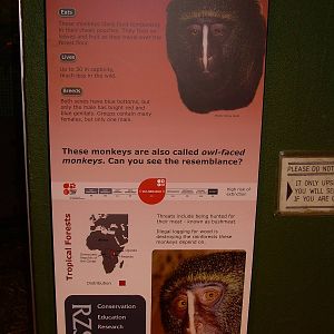 New interpritation boards