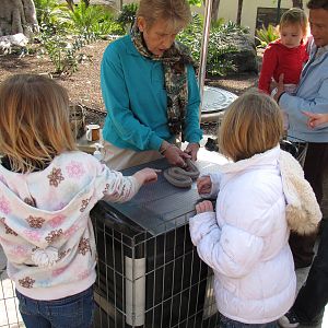 Animals & You Docent