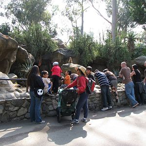 Visitors Viewing Meerkat Habitat