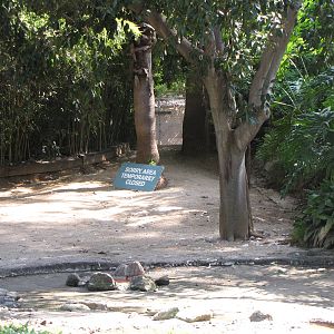 Flamingo Lagoon Temporarily Closed