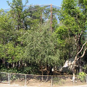 Aviary Mixed Hornbill/Yellow-footed Rock Wallaby Habitat