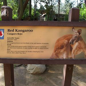 Red Kangaroo Signage