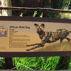 African Wild Dog Signage