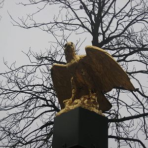 Eagle at the entrance
