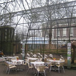 Dutch grassland bird aviary