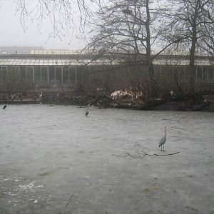 Waterfowl ponds
