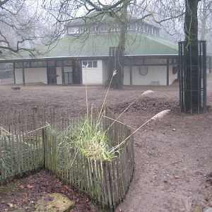 South american pampas enclosure