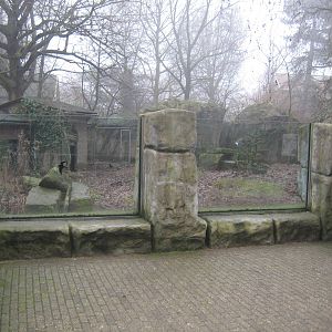 Maned wolf viewing area