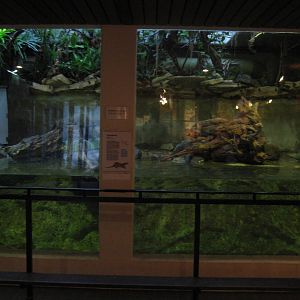 Otter enclosure