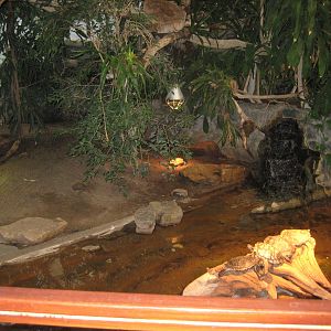 Turtle enclosure