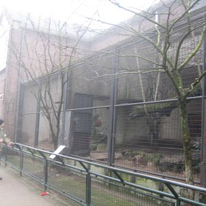 Eurasian lynx enclosure